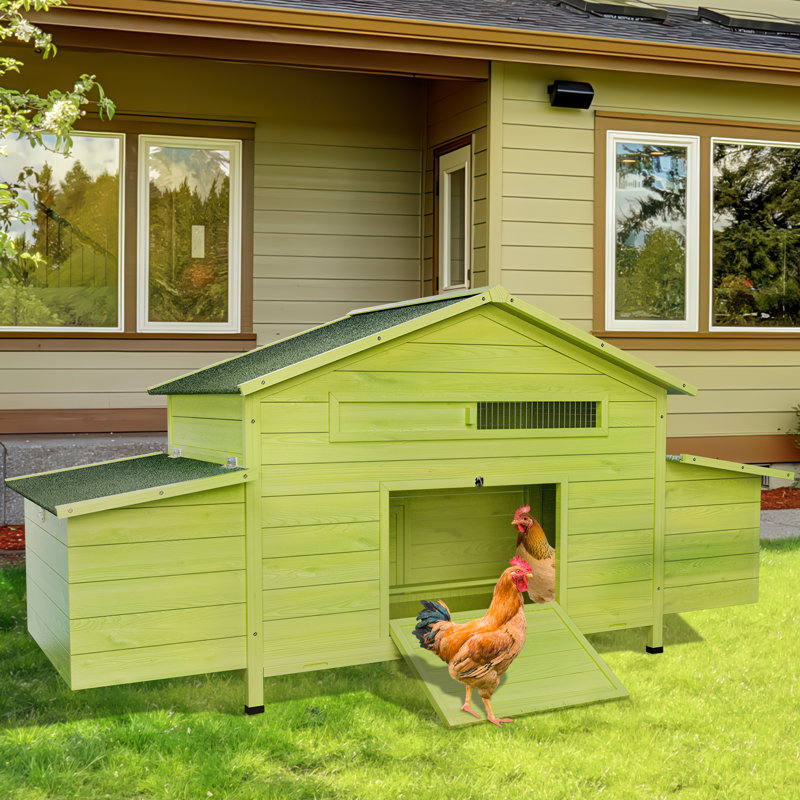 Grand poulailler extérieur en bois avec nichoir, toit imperméable, perchoir et plateau coulissant facile à nettoyer, Vert