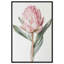 «Rosy Flowering II Floral Decor», reproduction d'art sur toile par Art Remedy-119973819-123584583