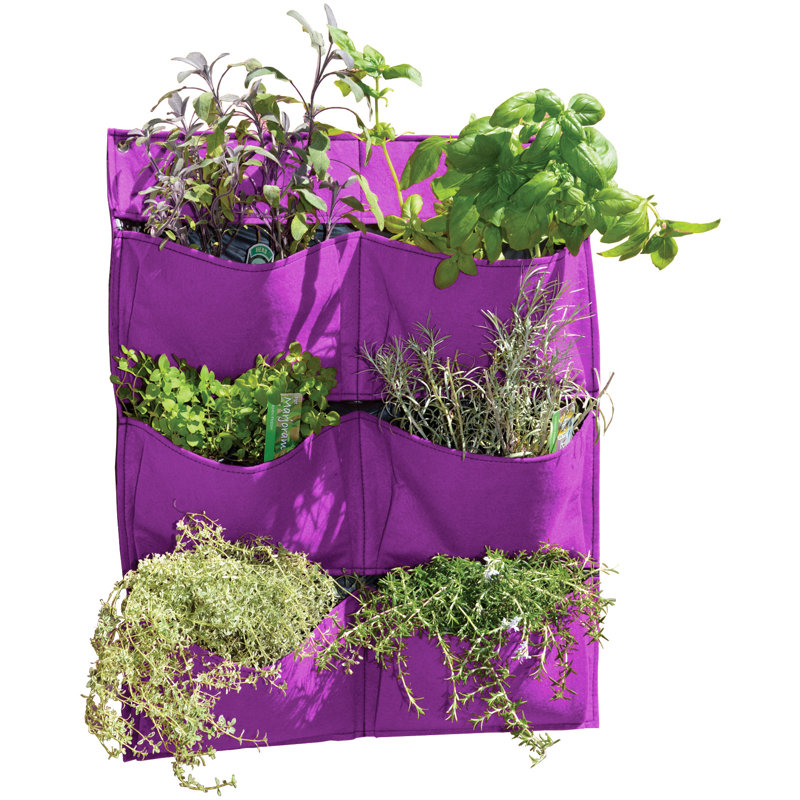 Longbridge Wood Wall Planter, Purple
