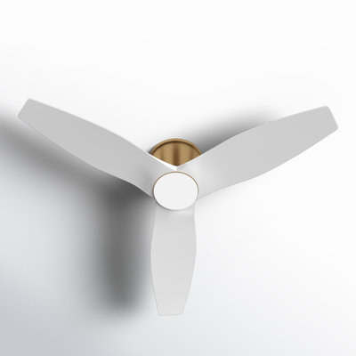Aisling Ceiling Fan with LED Lights