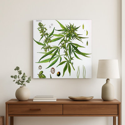 Cannabis sativa (1887) — Décoration murale carrée en métal