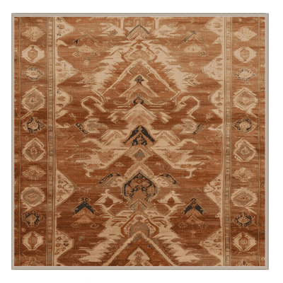 Machine Washable Persian Brown Area Rug