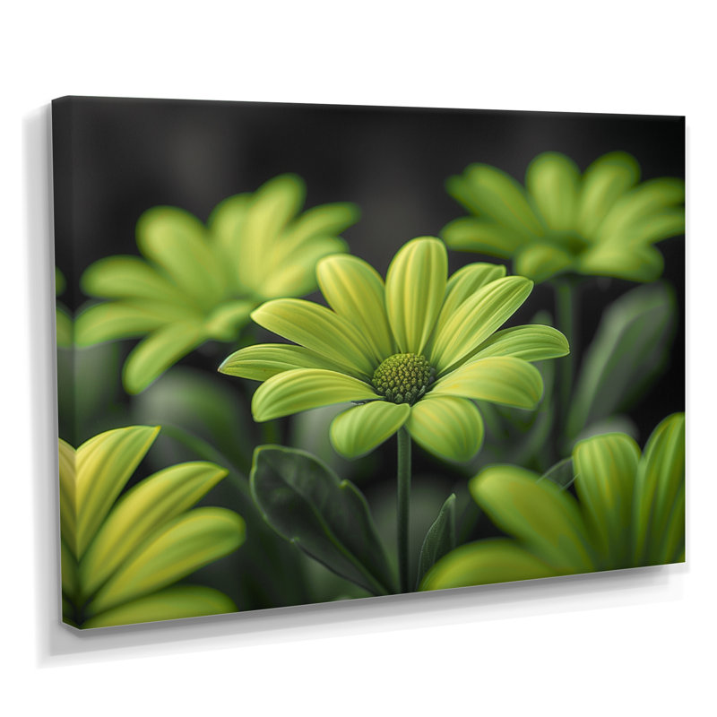 Photo de marguerites monochromes vertes et noires - salon de marguerites murales, Toile tendue, 12" H x 20" W