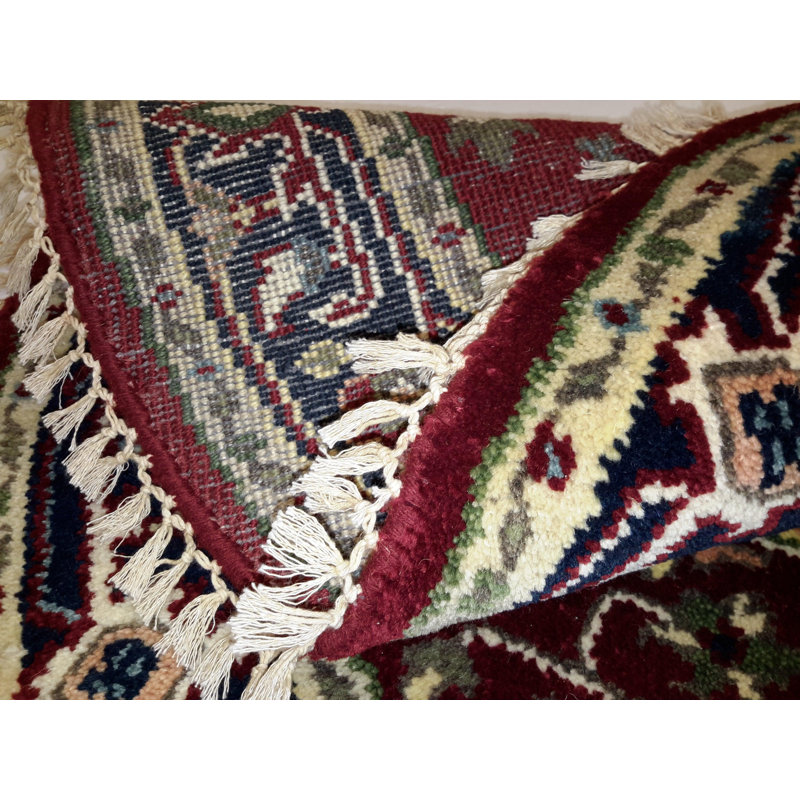 Kassiani Oriental Area Rug in Red