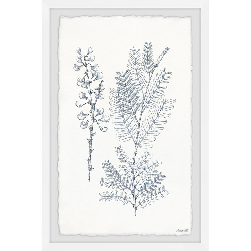 Indigo Botany Study VII by Marmont Hill - Single Picture Frame Painting, 20cm H x 30cm W