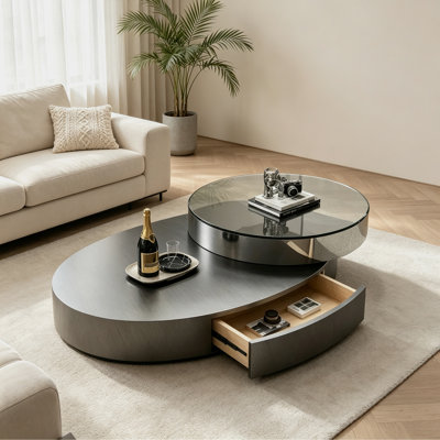 Modern Gray Oval Stainless Steel Coffee Table