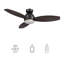  Ceiling Fan