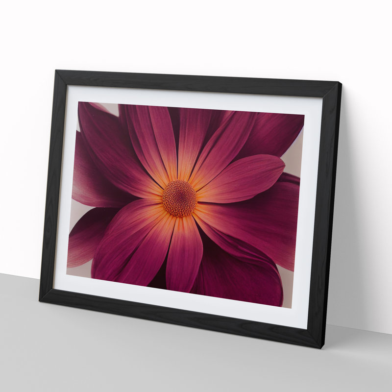 Harmonious Daisy Flower - Single Picture Frame Print, 46cm H x 64cm W x 2cm D, Black