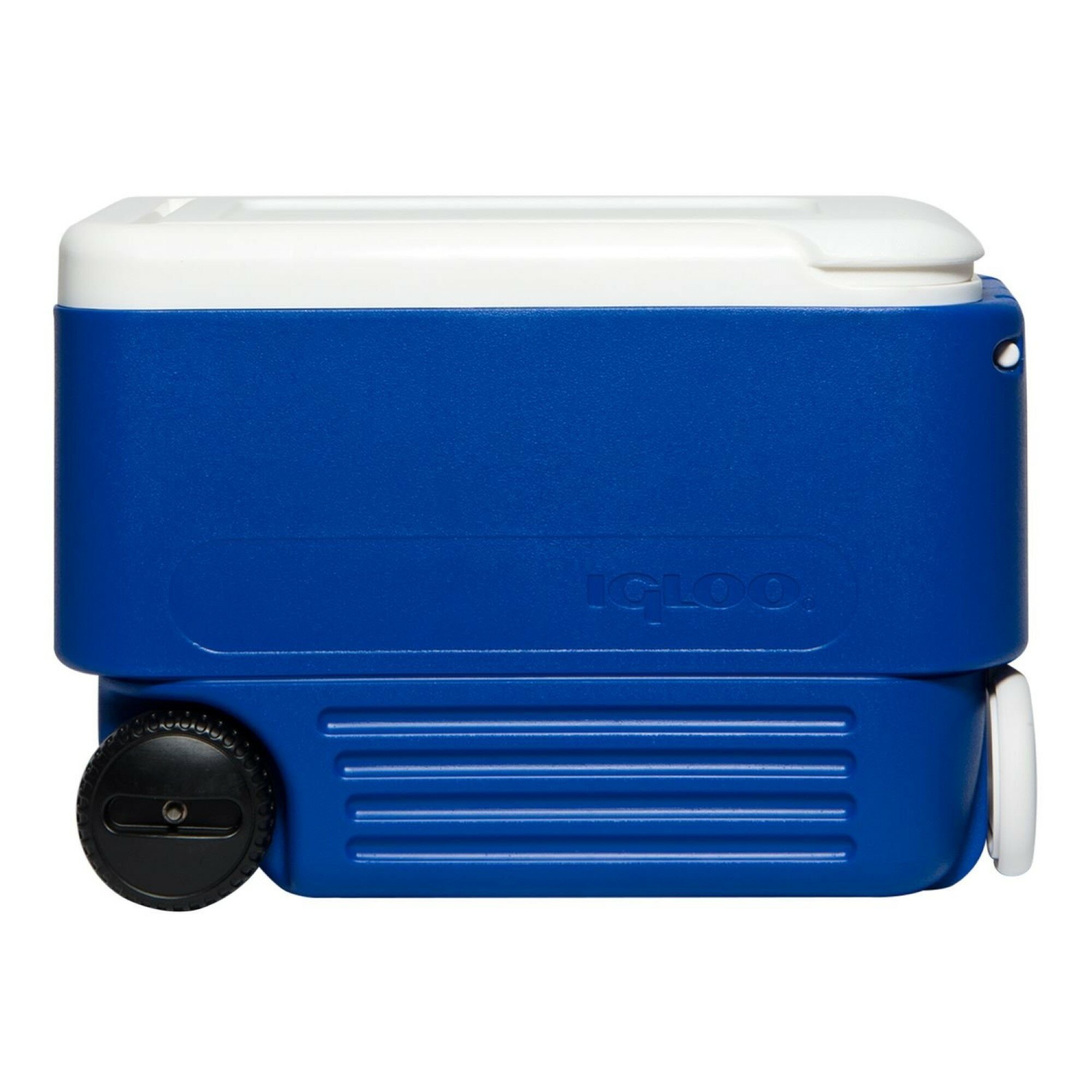 Igloo Wheeled Ice Chest Cooler , Blue/White & Reviews | Wayfair