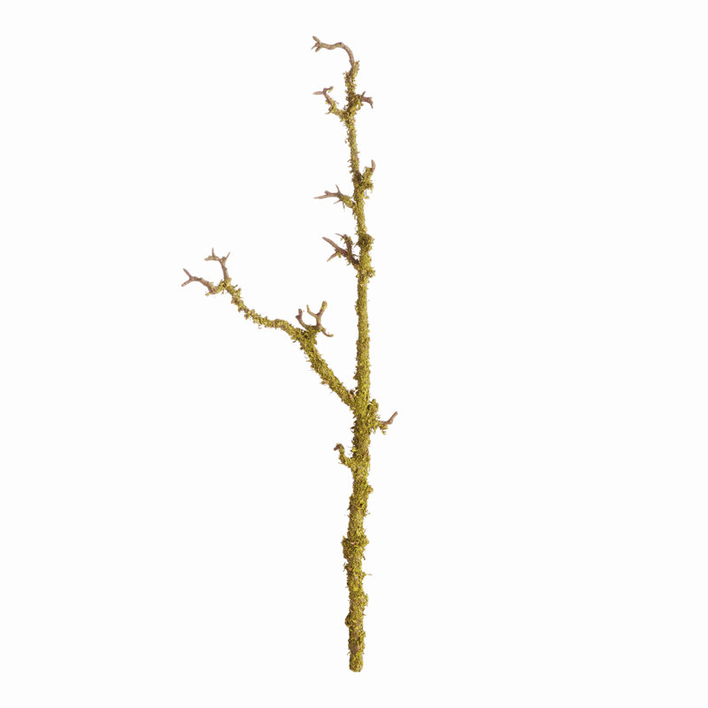 Andress 28 po, ensemble de 2