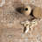 Bayberry Vintage Machine Washable Area Rug-87686596