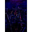 Lower Manhattan Print by Karin Batten-65792508-65792511