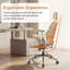Fauteuil de direction ergonomique-792419883