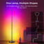 66.5cm Polished LED Novelty Floor Lamp