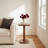 Hannabel Solid Wood C Shaped End Table-1040883152