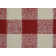 Curiel Checkered Indoor Rug