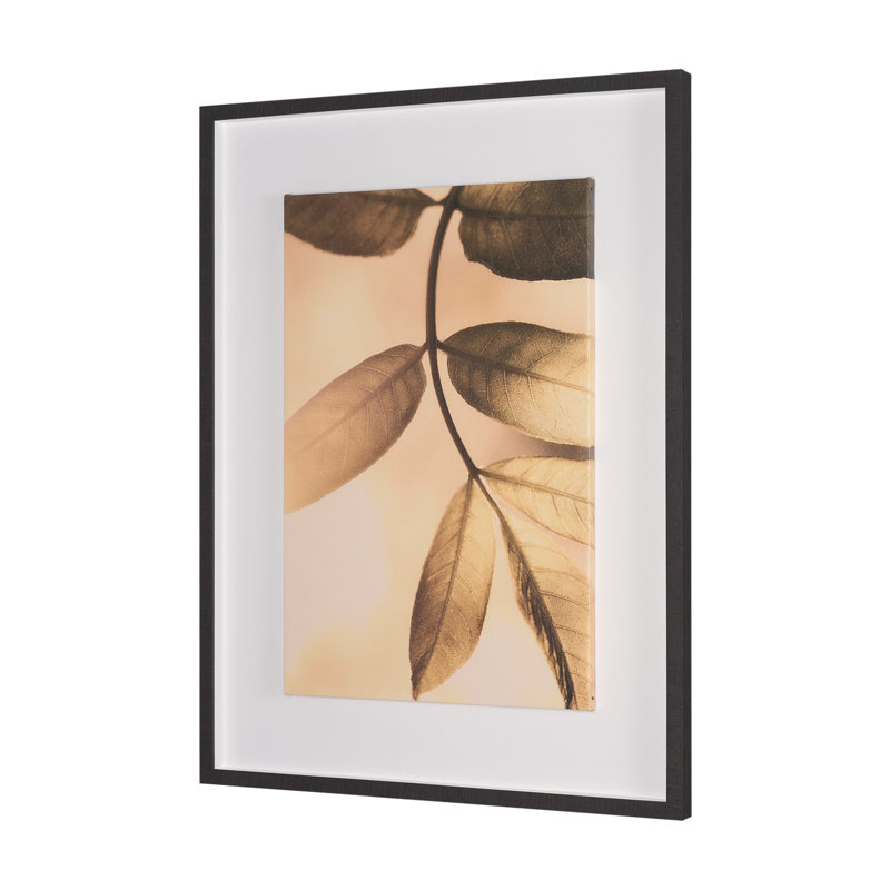 «Hanging Delight» par Michael Banks, reproduction d'art encadrée à la main avec passe-partout, Leaf Imaging, Doré