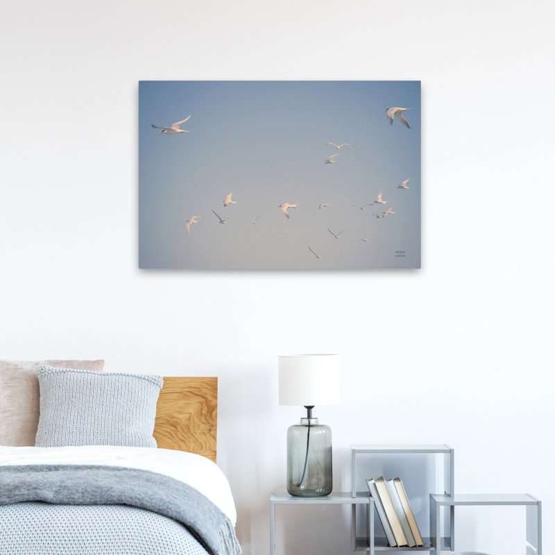 Georgia Seagulls I Coastal Animal Blue Blue Skie Bird Coastal, H 36 po x l 24 po