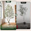 Olive artificielle avec fruit en pot de fleurs blanc, arbre topiaire en pot pour la maison et le bureau, 5/6/7/8 pieds-1400002818