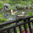Bernadea Pole Tray Bird Feeder