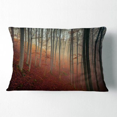 Landscape Printed Foggy Day in Enchanted Forest Lumbar Pillow