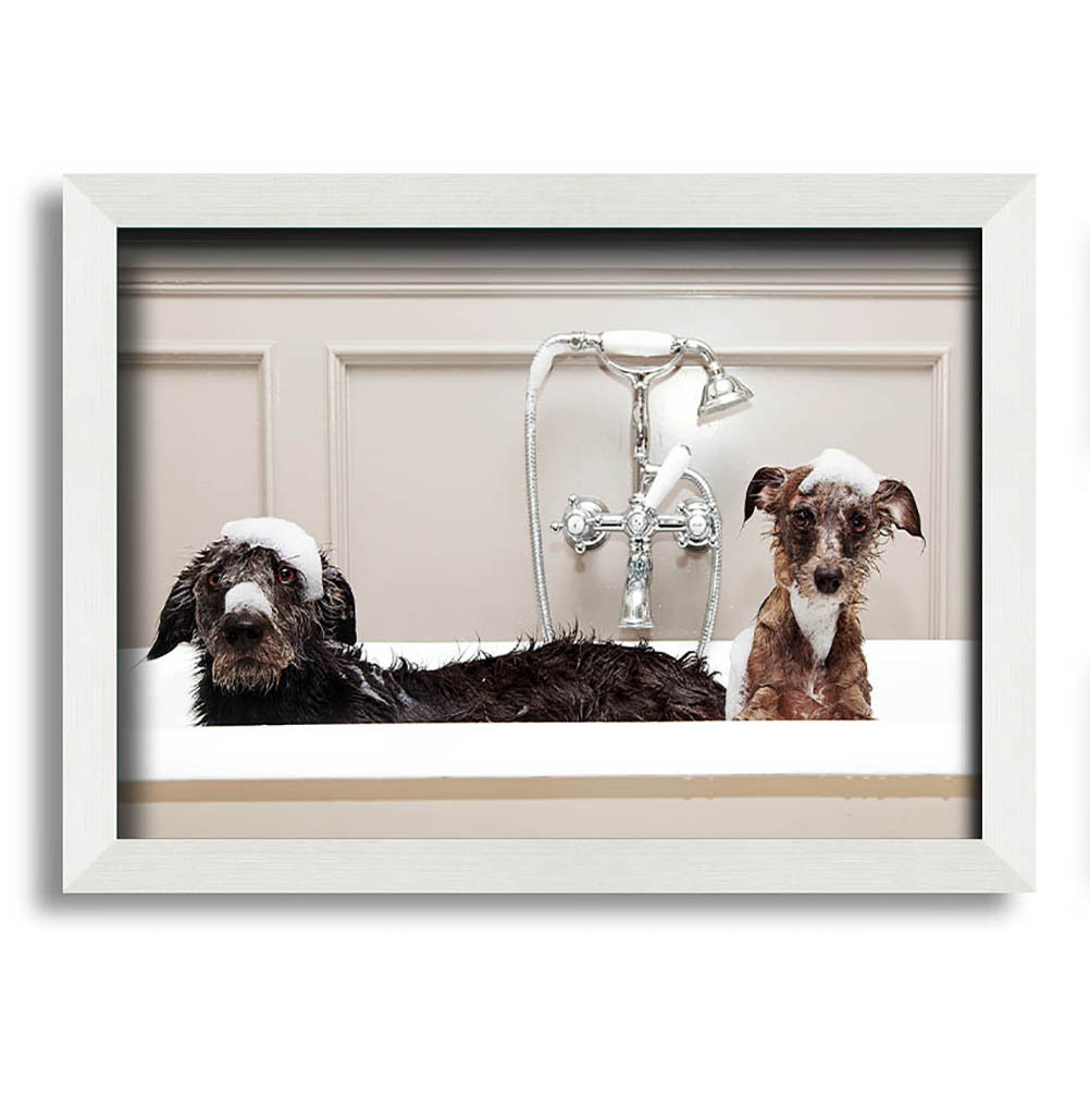 Anastasiea Bath Time Dogs Gerahmter Druck Wandkunst