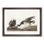 Brant Geese by John Audubon - Picture Frame Painting Print-55513308-55513307