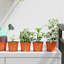 Nursery Pot-178463900-178463901