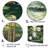 " Bamboo And Koi Pond Showcase "-95899633-95899632