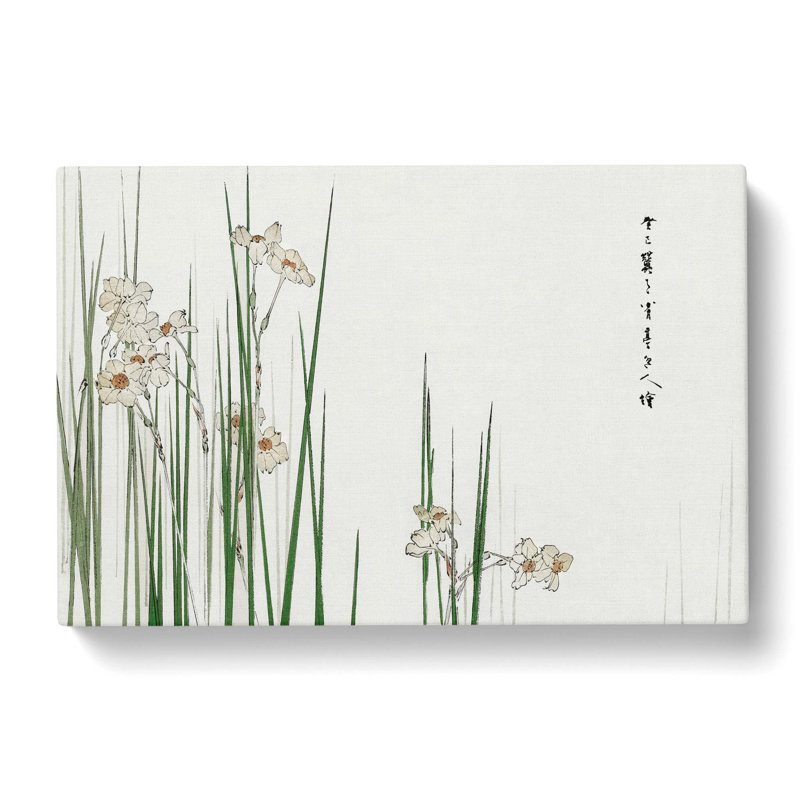 Daffodils by Watanabe Seitei - Wrapped Canvas Painting, 35cm H x 50cm W x 3cm D