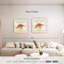 Coquillages Aletra-111896824