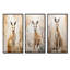 Minimal charmant kangourou - ensemble de 3 impressions sur toile kangourou-1903607811-1903607822