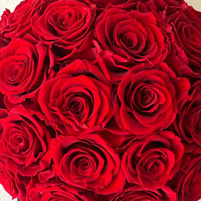 Arrangement de roses préservées