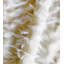 Tissu Jadis