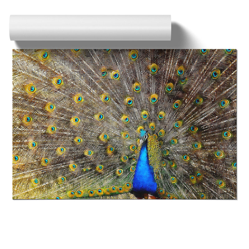 Peacock Painting - Frameless Print, 21cm H x 30cm W x 0.1cm D
