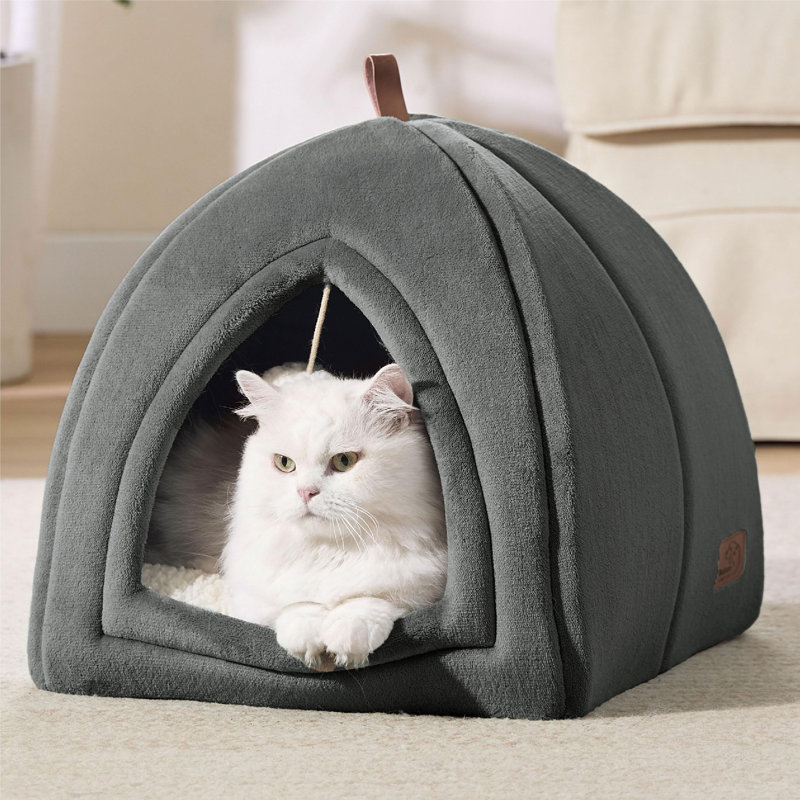 Cat Bed
