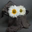 Coussin décoratif décoratif décoratif décoratif en forme de fleur 3D inclus-99863946