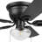 Halle  42" Indoor Matte Black Ceiling Fan With Light & Pull Chain