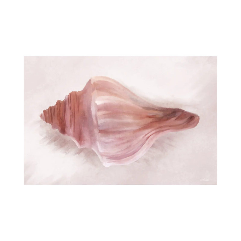 Conch Shell Blush I by House Fenway - Wrapped Canvas Gallery-Wrapped Canvas Giclée, 20.32 cm H x 30.48 cm W