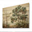 Pin, beauté du pin I - impression de pin sur bois-543859537