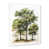 Cadre simple blanc