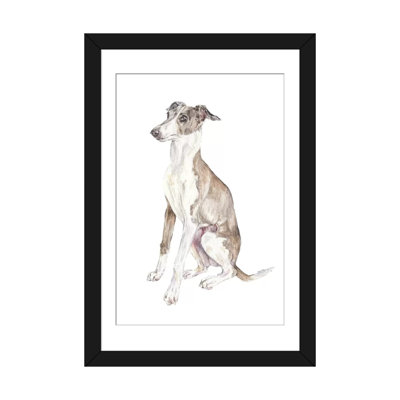 «Italian Greyhound», reproduction sur toile