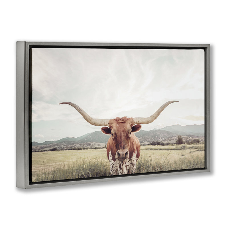 Cadre flottant Longhorn Portrait, H 17 po x l 25 po, Cadre flottant gris lustré