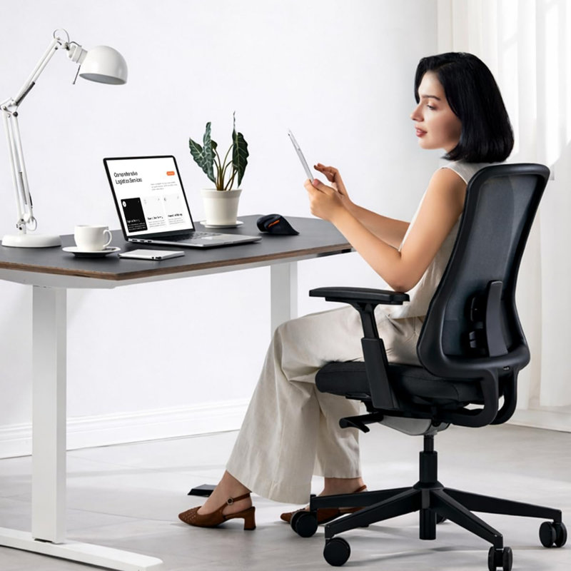  Chaises de bureau à domicile Chaises de bureau ergonomiques à haut dossier et roulettes, Noir, Noir