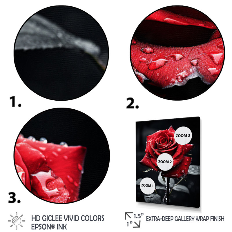 «Daryle Red Black Rose Elegance II», reproduction sur toile, Cadre flottant doré, H 32 po x l 24 po x P 1 po