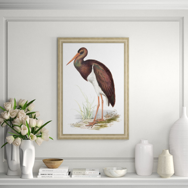 Coastal Ornithology 2' Framed Graphic Art Print on Glass