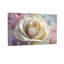 Plantes et fleurs rose pastel à motif floral Z251224084240944298-1254264575