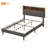 Isenberg Vella Upholstered Bookcase Platform Bed-122462503-122462496