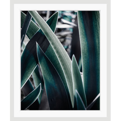 Leaves - Single Picture Frame Print