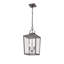 Luminaire suspendu d'extérieur 2 lumières 22 po Keavi-1973002776